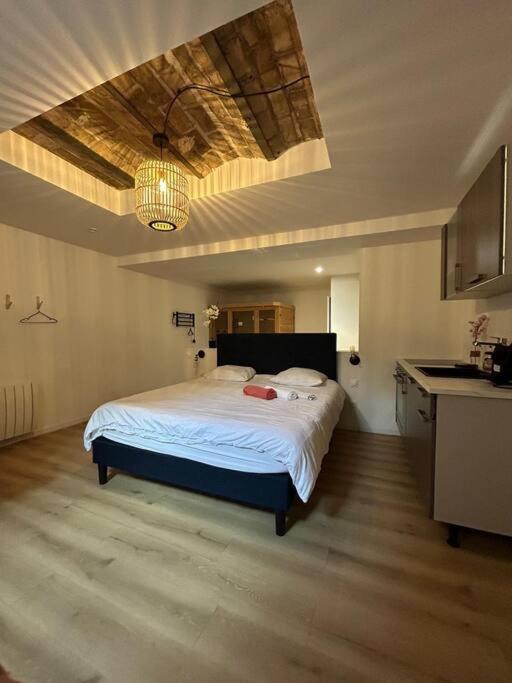 Cellar- Appartement Sous-Sol Atypique Reims Extérieur photo